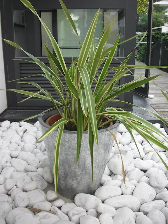 Hotel Garden لينانو سابيادورو المظهر الخارجي الصورة